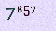 Visual Confirmation Security Code