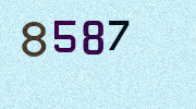Visual Confirmation Security Code