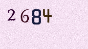 Visual Confirmation Security Code