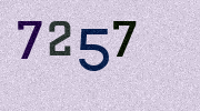 Visual Confirmation Security Code