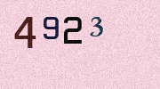 Visual Confirmation Security Code