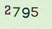 Visual Confirmation Security Code