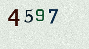 Visual Confirmation Security Code