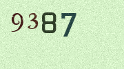 Visual Confirmation Security Code