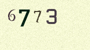 Visual Confirmation Security Code