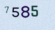 Visual Confirmation Security Code