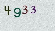 Visual Confirmation Security Code