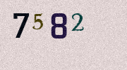 Visual Confirmation Security Code