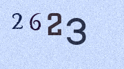 Visual Confirmation Security Code