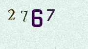 Visual Confirmation Security Code