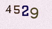 Visual Confirmation Security Code