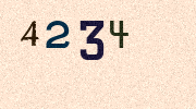 Visual Confirmation Security Code