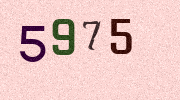 Visual Confirmation Security Code