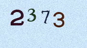Visual Confirmation Security Code