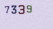 Visual Confirmation Security Code