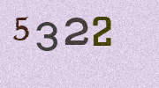 Visual Confirmation Security Code
