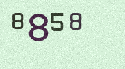 Visual Confirmation Security Code