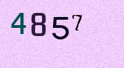 Visual Confirmation Security Code