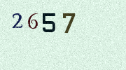 Visual Confirmation Security Code