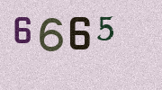 Visual Confirmation Security Code