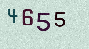 Visual Confirmation Security Code