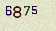 Visual Confirmation Security Code