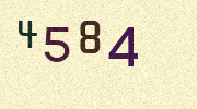 Visual Confirmation Security Code