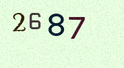 Visual Confirmation Security Code
