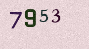 Visual Confirmation Security Code