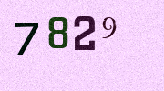 Visual Confirmation Security Code