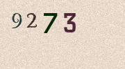Visual Confirmation Security Code