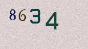 Visual Confirmation Security Code