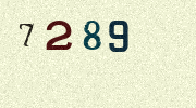 Visual Confirmation Security Code