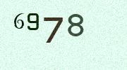 Visual Confirmation Security Code