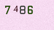 Visual Confirmation Security Code