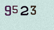 Visual Confirmation Security Code