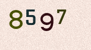 Visual Confirmation Security Code