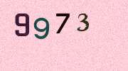 Visual Confirmation Security Code
