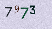 Visual Confirmation Security Code