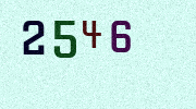 Visual Confirmation Security Code