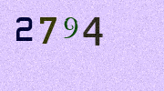 Visual Confirmation Security Code