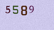 Visual Confirmation Security Code