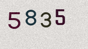 Visual Confirmation Security Code