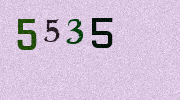 Visual Confirmation Security Code