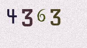 Visual Confirmation Security Code