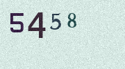 Visual Confirmation Security Code
