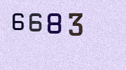 Visual Confirmation Security Code