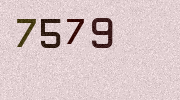 Visual Confirmation Security Code