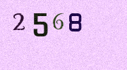 Visual Confirmation Security Code