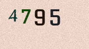 Visual Confirmation Security Code